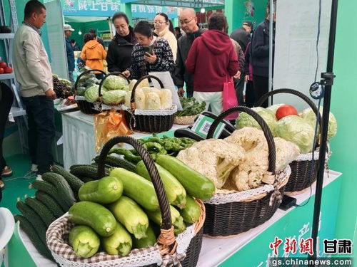 暮秋蘭州甘味濃，張掖有機農(nóng)產(chǎn)品展銷會圈粉金城苗木